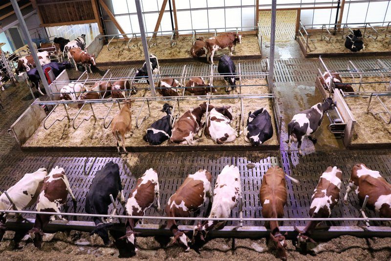 Wie geht Swissmilk damit um, dass vegane Produkte immer beliebter werden?