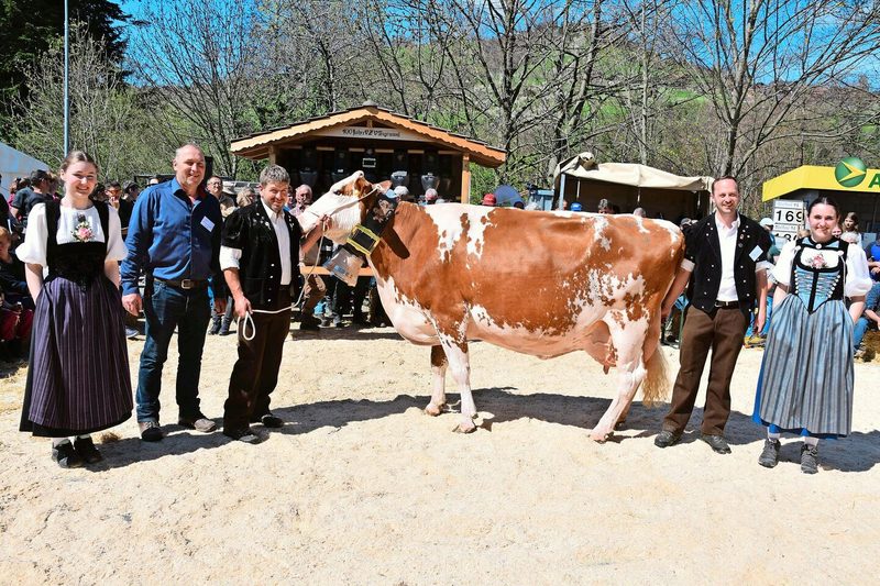Markus Gerber (2. v. l.), Präsident von Swissherdbook, konnte der Kuh Vinos Alpina von Erwin Zumbach aus Oberhofen die Glocke für die höchste Lebensleistung (78 288 kg) überreichen.