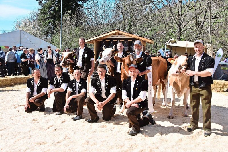 Die Missen (v. l.): Rindermiss Roxel Alena; Junior-Miss Terry Valentina; Schöneuter Swat Analisi und die Miss Winetou Fabiola. Die Experten (v. l.): Niklaus Berger, Beat Lisser, Peter Brügger, Jan Jungen und Christian Stegmann.