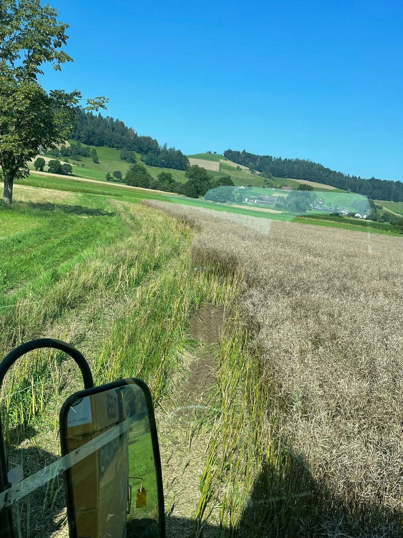 «Wenn die Hauptsaison nur drei Tage dauert, ist das verrückt»