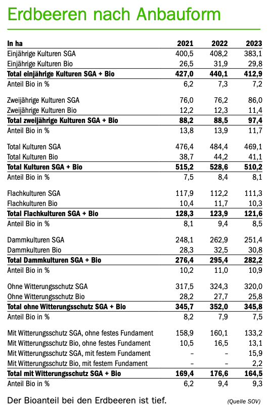Man wartet aufs Erdbeerenwetter, aber die Früchte sind schon da