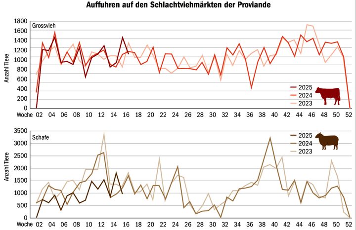 Trotz BVD-Ampel und Moderhinkesanierung: Die guten Preise sorgen für steigende Auffuhren. So wurden vergangene Woche auf den Berner Plätzen Kühe im Schnitt um 401 Franken überboten.