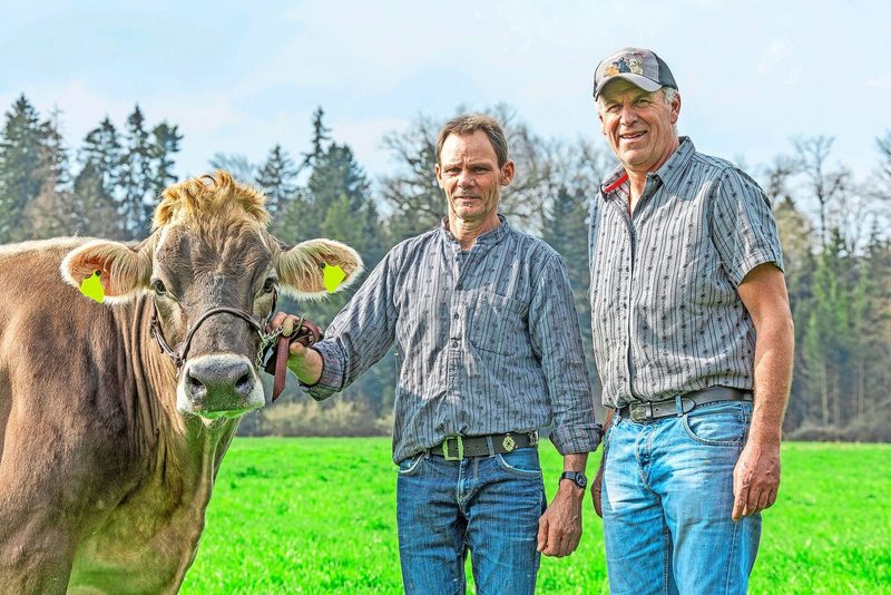 Thomas Meier (re.) und Stefan Unternährer bevorzugen unkomplizierte und leistungsstarke Braunvieh Kühe.