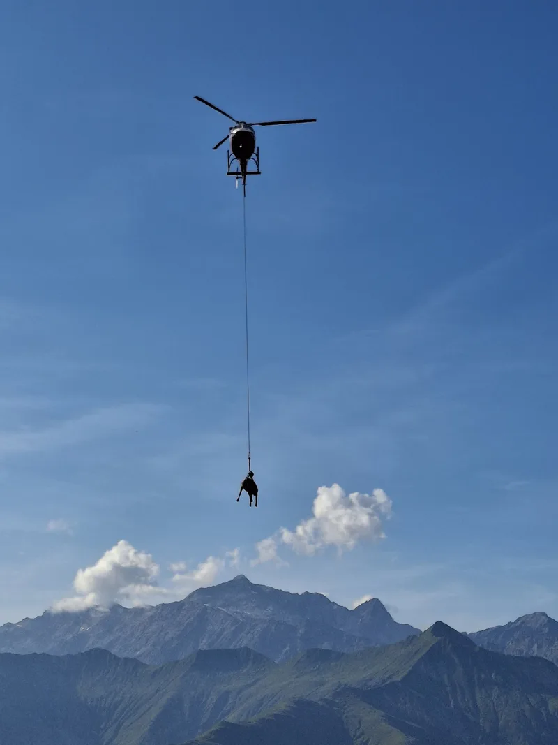 Die fliegende Kuh