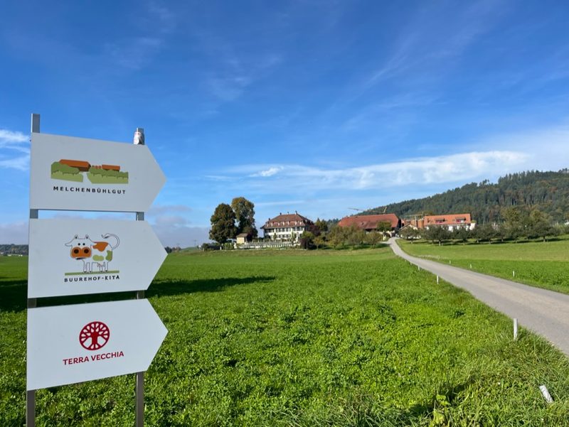 «Die Kinder kommen aus allen Himmelsrichtungen zu uns in die Bauernhof-Kita»