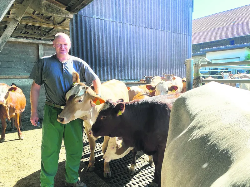 Dank des Zebu-Stiers hat Joachim Krebs weniger Probleme mit Kälberkrankheiten