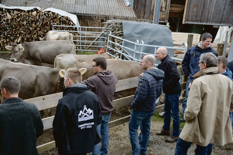 IG Neue Schweizer Kuh zu Besuch: Kleiner und breiter sind die Braunviehkühe von Thomas Müller (im braunen Pullover).