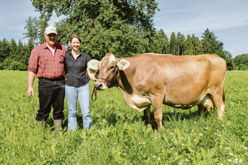 Jason Kenia von Christian und Jasmin Albrecht ist mittlerweile 23 Jahre alt (im Bild 13 Jahre). Sie ist die älteste Kuh der Schweiz mit einer Lebensleistung von 175?'000 kg Milch. (Bild Braunvieh Schweiz)