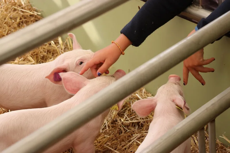 «Die Begegnungen an der ALA 23 machen es aus»