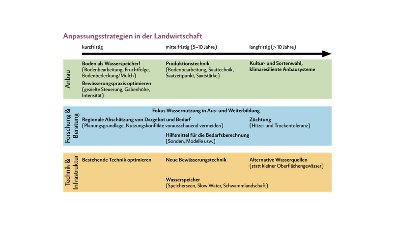 Infografik - Anpassungsstrategien in der Landwirtschaft
