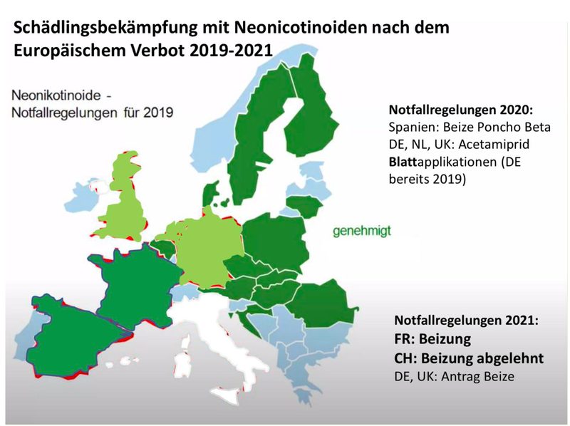 Keine Notzulassung für Gaucho: Zuckerrübenpflanzer fordern Importbeschränkungen