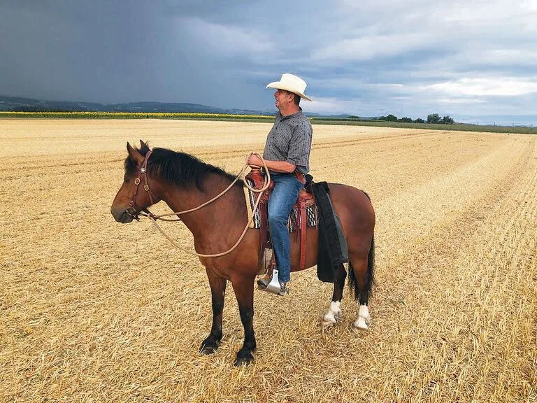 Er sei kein Reitlehrer, nur ein begeisterter Landwirt, der Pferde hält und sie trainiert, so Adrian Herren aus Mauss BE.
