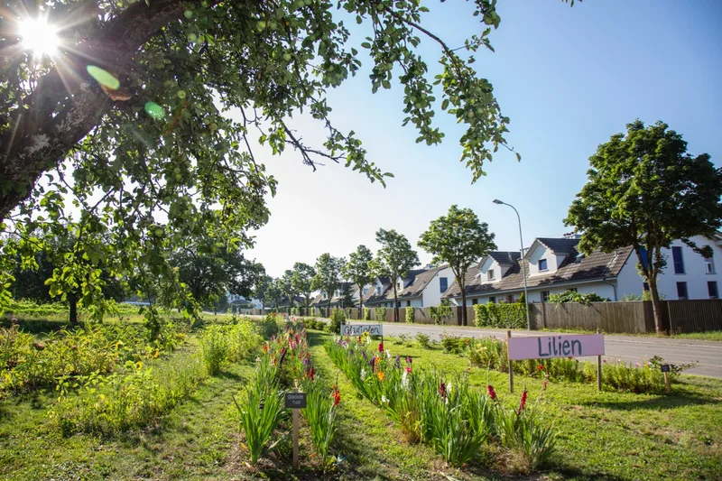 Die Lage (Dorfeingang), gute Parkplätze und ein ganzjähriges Blumen-Angebot gehören zu den Erfolgsfaktoren. Bild: Pia Neuenschwander