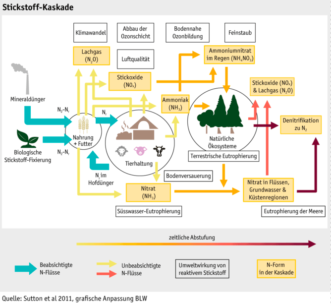 Stickstoff und Landwirtschaft: Beziehungsstatus kompliziert