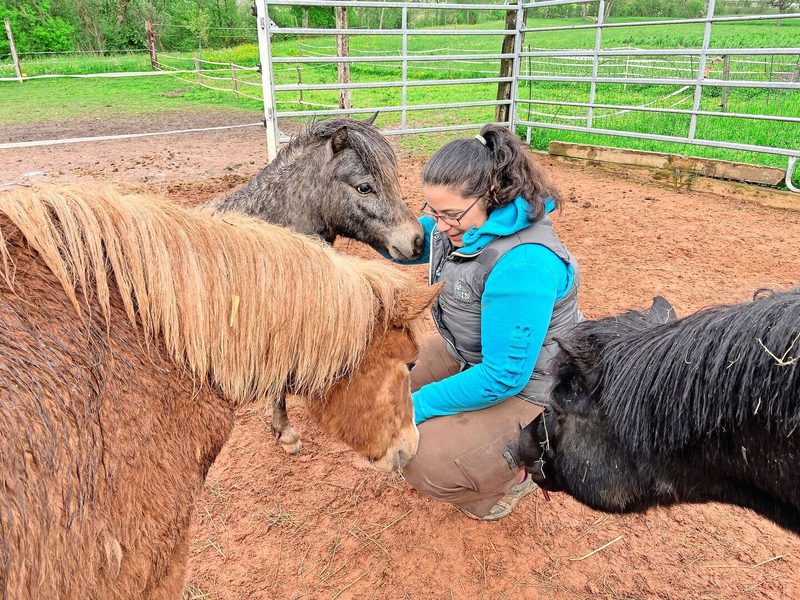 Die Pferde und Ponys sind eine Herzensangelegenheit: Esther Hürlimann reitet von Kindesbeinen an.