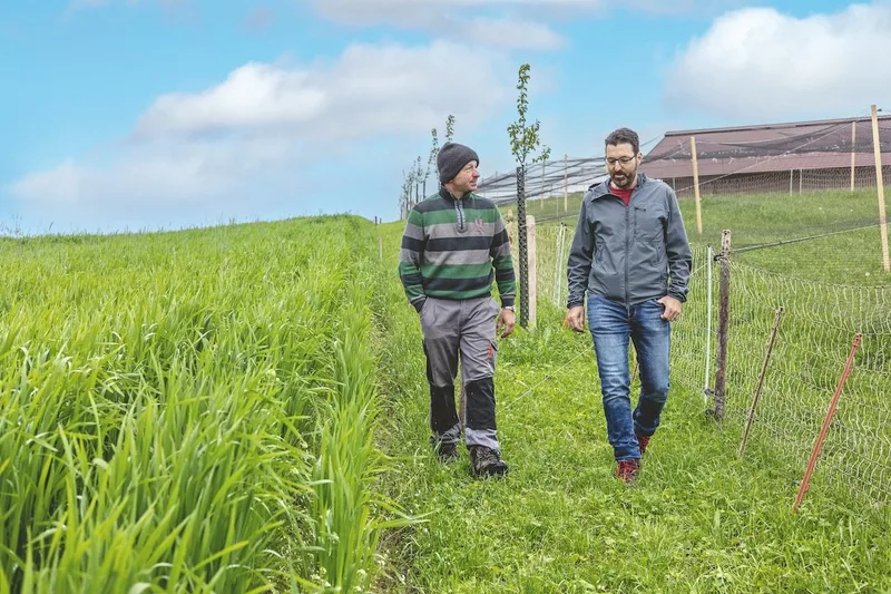 Matthias Roggli (links) und Michel Bhend vom Fonds Landschaft Schweiz bei einer Begehung der Agroforstanlage in Mamishaus BE.