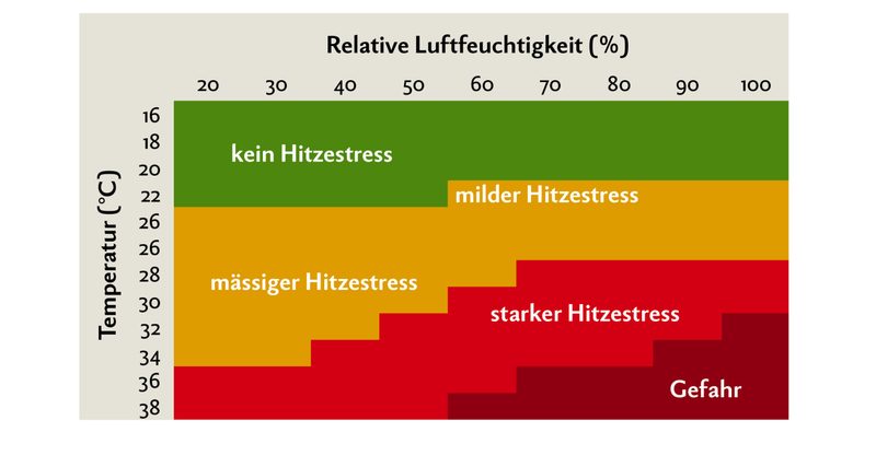 Kühe fühlen sich bei Temperaturen zwischen –5 und +18 Grad am wohlsten. Bereits bei Temperaturen ab +22 Grad können sie in Hitzestress geraten. Grafik: Nicole Geiser/Quelle: Thom/Zimbelmann und Collier