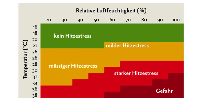 Kühe fühlen sich bei Temperaturen zwischen –5 und +18 Grad am wohlsten. Bereits bei Temperaturen ab +22 Grad können sie in Hitzestress geraten. Grafik: Nicole Geiser/Quelle: Thom/Zimbelmann und Collier