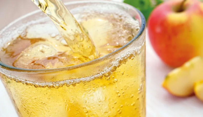 Mit Mineralwasser verdünnte Fruchtsäfte sind bei Hitze ideal, da sie isotonisch wirken. Bild: Adobe Stock