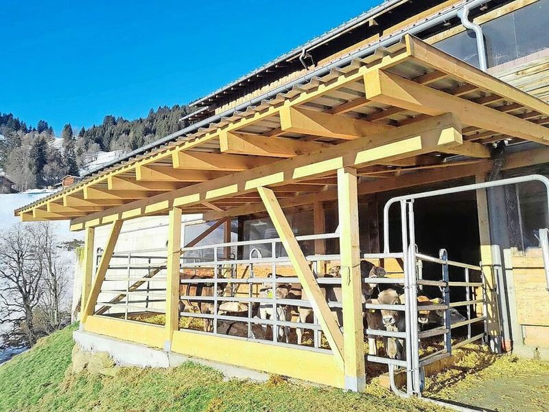 Statt in speziell konzipierten Freiluftställen werden die Tiere im Folgeprojekt im bereits bestehenden Maststall gehalten. Der einzige Unterschied: Der Auslauf ist überdacht und eingestreut.