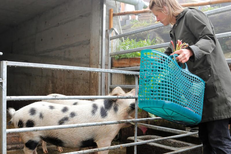 Zusammenarbeit mit der Gastronomie: Ohne Landwirtschaft keine Kulinarik