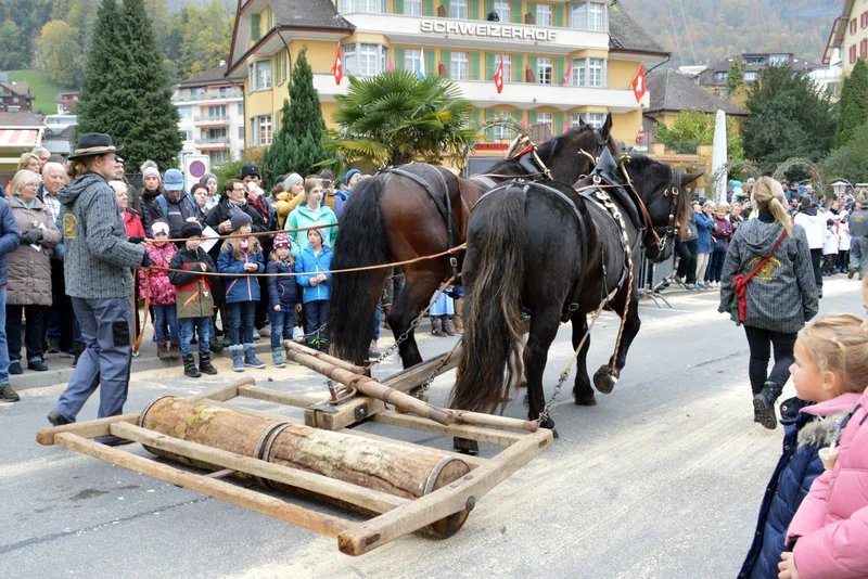 Eine überwältigende Sennenchilbi in Weggis