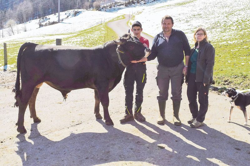 Nicola und Andreas Wälli und Sibylle Stadelmann (v. l.) mit dem 20 Monate alten Stier Ignaz.