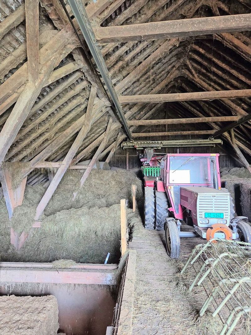 Den Hof von Alois Betschart, Rothenthurm, soll sein Schwiegersohn dereinst weiterführen. Landwirtschaftsschüler erarbeiteten künftige Betriebskonzepte.