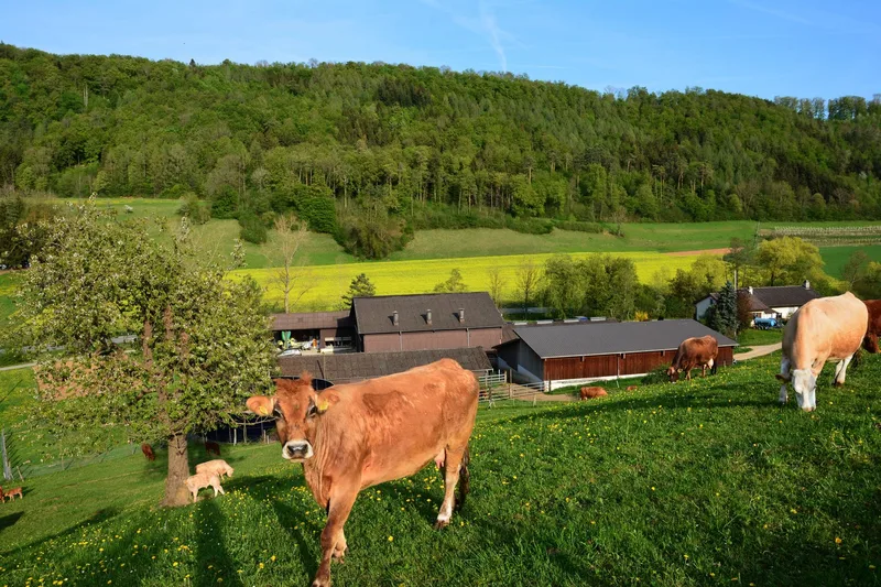 Weg vom Hof, um der neuen Generation Platz zu lassen