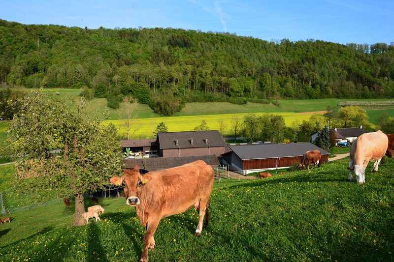 Weg vom Hof, um der neuen Generation Platz zu lassen