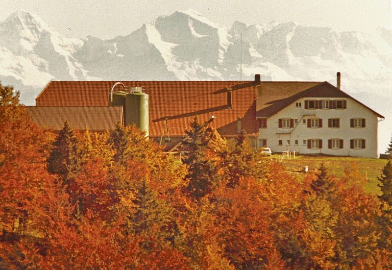 1981 zügelte man auf den Untergrenchenberg in den Kanton Solothurn. Ein Bergbetrieb mit Restaurant auf 1300 m ü. M. Die Aussicht auf die Berner Alpen ist dort bei schönem Wetter grandios.