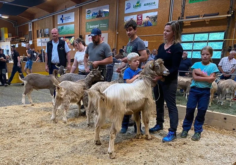 400 Ziegen und 13 Rassen zu Gast in Sargans