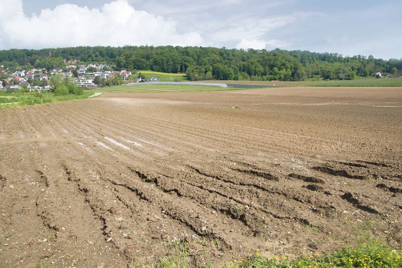 Regenwetter: Vorerst kein Ende in Sicht