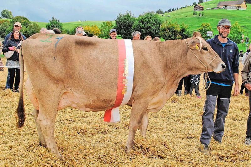 Miss OB Einsiedeln: Titelverteidigerin Joel Jacinta von Bernhard Gisler, Einsiedeln.