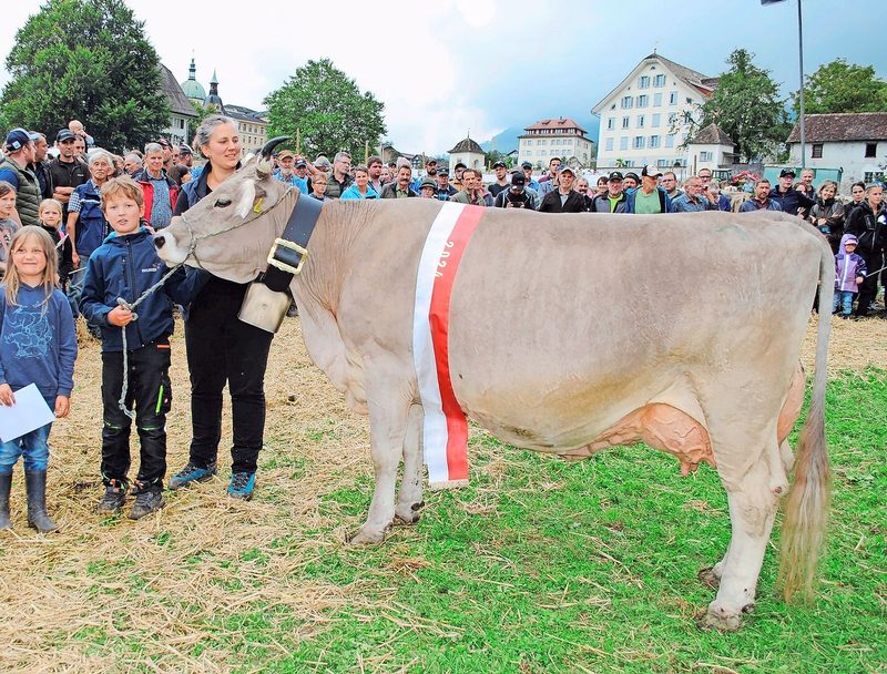 Miss OB Schwyz: Titelverteidigerin Wenger Wyna von Martin Reichmuth, Rothenthurm.