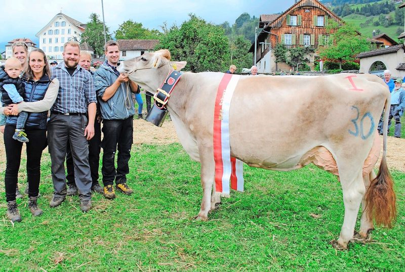 Miss Schwyz: Drittlaktierende Capucino Capin von Bruno Kälin, Steinen.