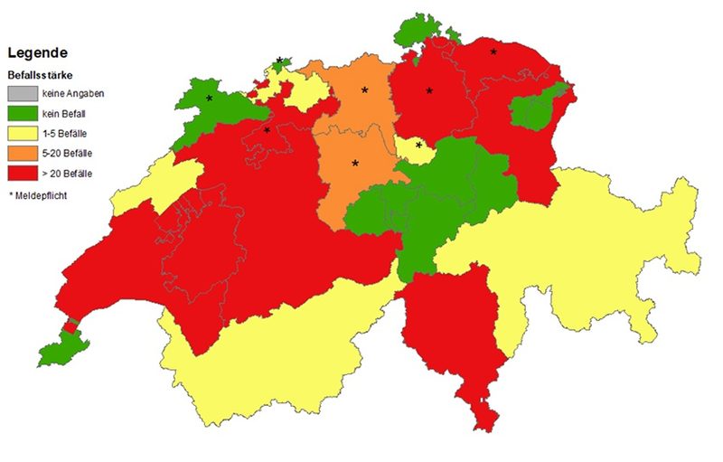 Gegen Erdmandelgras ist man nicht machtlos, aber einfach ist es nicht