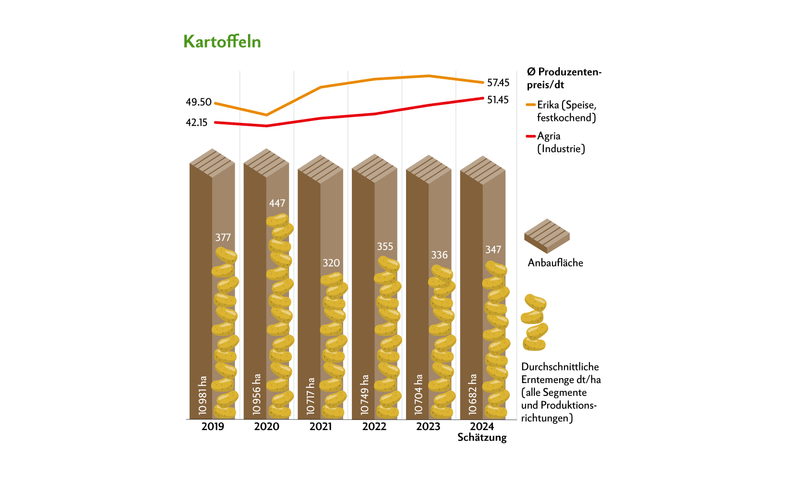 Die Preise für Industriekartoffeln wurden erhöht, um die Anbaubereitschaft zu fördern. Gleichzeitig sanken die Preise für Speisekartoffeln.Quelle: Swisspatat