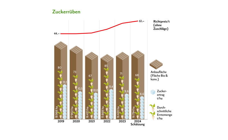 Mit 8,6 Tonnen Zuckerertrag und einem Zuckergehalt von 14,6 Prozent liegen die Resultate deutlich unter den Werten der letzten Jahre.Quelle: Schweizer Zucker AG