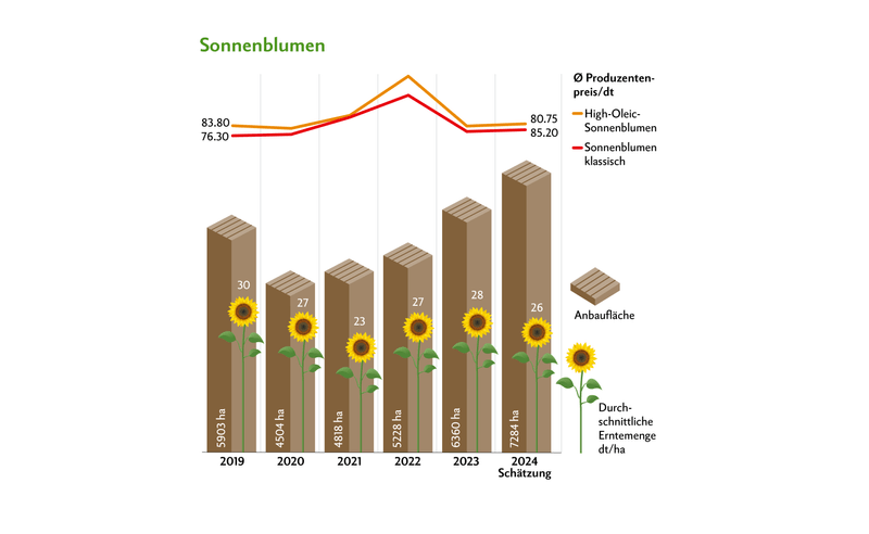 Die Anbauflächen für Sonnenblumen sind im Vergleich zum Vorjahr um 924 Hektaren gestiegen. Seit 2020 ist die Fläche stets gestiegen. Quelle: Swiss Granum