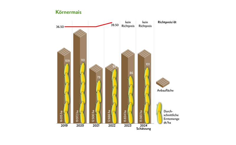 Sowohl 2023 als auch 2024 konnten keine Richtpreise festgelegt werden.Quelle: Swiss Granum