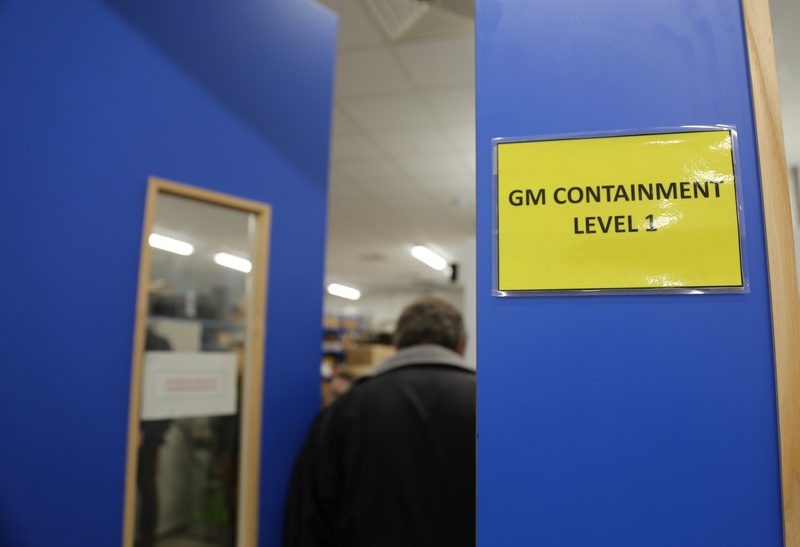 Genschere dank Brexit im Auftrieb