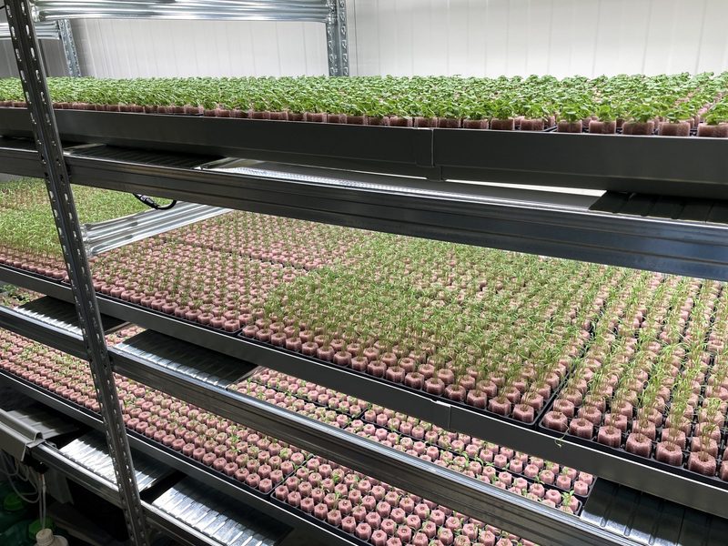 Vertical Farming ist auf Landwirtschaftsbetrieben noch nicht realisierbar