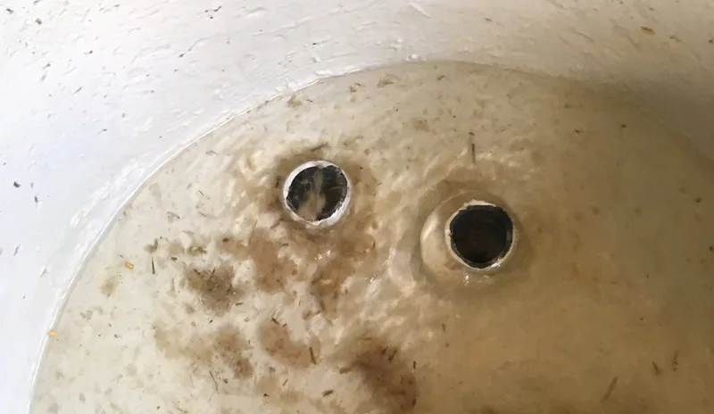 Ausgespülte Biofilm-Bildungen bei Hochdruck-Reinigung der Tränke. Bild: KGD