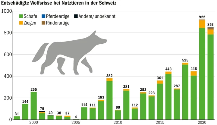 In den letzen Jahren hat die Wolfspräsenz stark zugenommen. Dies spiegelt sich in den Zahlen von Rissen wieder.