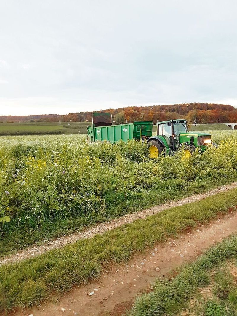 Pflanzenkohle sorgt bei Landwirten für Begeisterung und bei Ämtern für Besorgnis