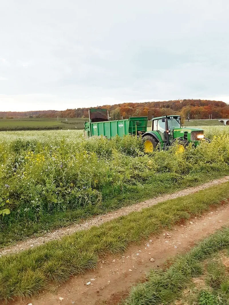 Pflanzenkohle sorgt bei Landwirten für Begeisterung und bei Ämtern für Besorgnis