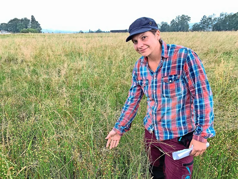 Gina Niederberger vor dem Feld mit Winterlein bei Sempach. Die Erträge lagen bisher unter den Erwartungen.