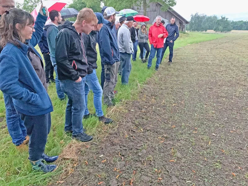 Bisher noch nicht ideale Wachstumsbedingungen: Die Hirse bei Christoph Widmer (in roter Jacke) wurde allerdings erst am 20. Juni gesät und bräuchte in den nächsten Wochen nun sehr viel Wärme.