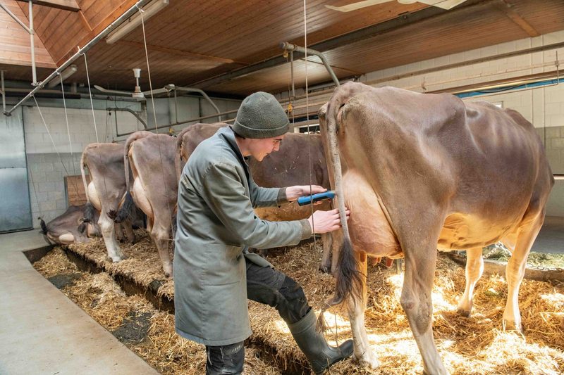 «In einem halben Jahr haben wir zu wenig Kühe» – Rolf Hinder kennt den Markt wie kein Zweiter